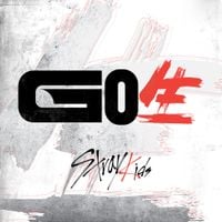 Stray Kids - GO生 [GO LIVE]