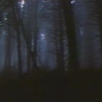 暗い自然 [Dark Nature] - The Dark Forest 最も暗い夜