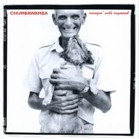 Chumbawamba - Swingin' with Raymond
