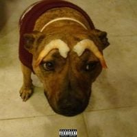 City Morgue - $HRIMP