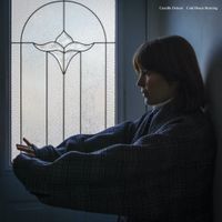 Camille Delean - Cold House Burning