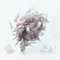TIBSLC - A SHELL​-​LIKE OBJECT