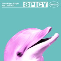 Herve Pagez & Diplo - Spicy - Remixes