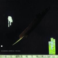 Oren Ambarchi / Crys Cole / Keith Rowe - Black Plume