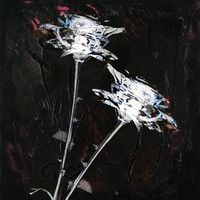 Shygirl & Arca - unconditional