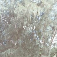 Bedroom - Vivid