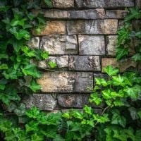 And Then Suddenly... - You, Me, and the Brick Wall You Built Between Us