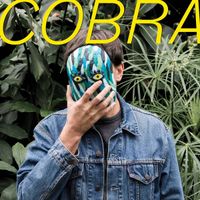 Fran&ccedil;ois Club - Cobra