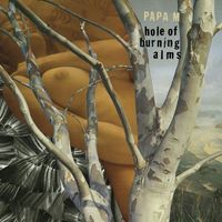 Papa M - Hole of Burning Alms