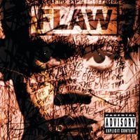 Flaw - Through the Eyes