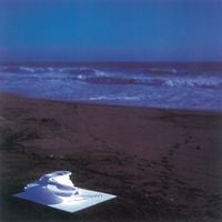 石橋英子 [Eiko Ishibashi] - Works for Everything