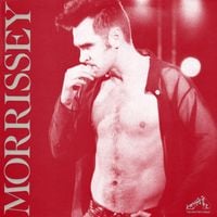 Morrissey - You're the One for Me, Fatty