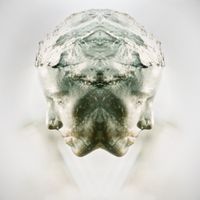 Azedia - Form