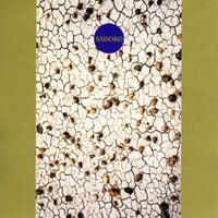 Derek & The Ruins - Saisoro