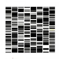 Ryoji Ikeda - Test Pattern