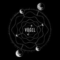 V&ouml;gel - &Oacute;mstr&iacute;&eth;
