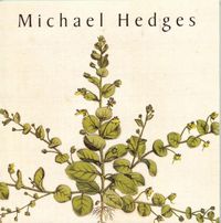 Michael Hedges - Taproot