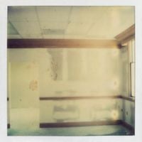 Orchid Mantis - Compositions on Midi & Tape