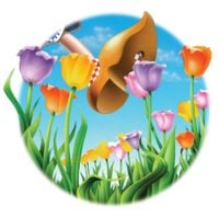 Grateful Dead - Europe '72 Vol. 15: Grote Zaal De Doelen, Rotterdam, Holland 5/11/72