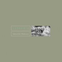 Lussuria - Industriale Illuminato