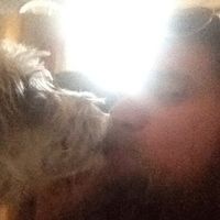 Bull of Heaven - 306: It Is Not a Lack of Love