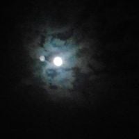 Bull of Heaven - 311: Night's Great Perimeter