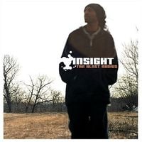Insight - The Blast Radius