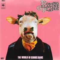 Moving Gelatine Plates - The World Of Genius Hans