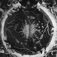 Sutekh Hexen - Luciform