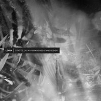 Lemna - Storytelling #1 - Reminiscences of Inner Scenery