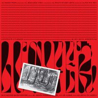 Black Devil Disco Club - Lucifer is a Flower