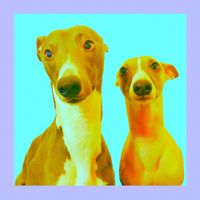 Trunky Juno - Too Many Teeth