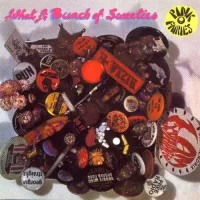 Pink Fairies - What A Bunch Of Sweeties