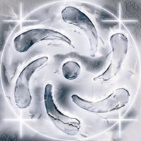 DJB & Bby Eco - H2ozone