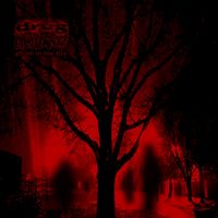Drug Honkey - Ghost in the Fire