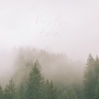 Pay For Pain - Pain