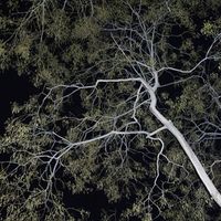 Kanthor - Math&egrave;me