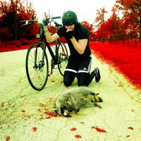 The White Stripes - The Denial Twist