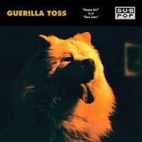 Guerilla Toss - Human Girl / Own Zone