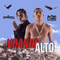 Mc Poze do Rodo - To Voando Alto