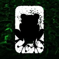 Phyllomedusa - 0% Survival Rate