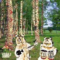 USSSy - Karpet birch