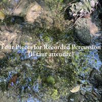 Michael Pisaro - Four Pieces for Recorded Percussion (Il faut attendre)