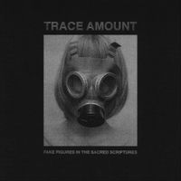 Trace Amount - Fake Figures in the Sacred Scriptures