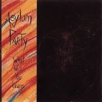 Asylum Party - What Will You Learn