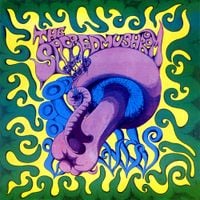 The Sacred Mushroom - The Sacred Mushroom