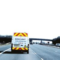 Dog Unit - Barking to Gospel