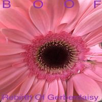 Boof - Rebirth of Gerberdaisy