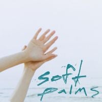 Soft Palms - Rainbows