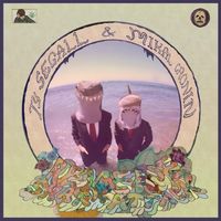 Ty Segall & Mikal Cronin - Reverse Shark Attack
